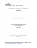 La evolución de las organizaciones sociales y la formación del Estado
