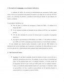 Descripción de la industria y sus principales indicadores.