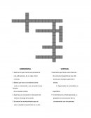 Crucigrama de español