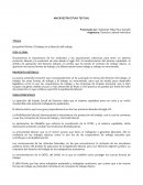 MACROESTRUCTURA TEXTUAL