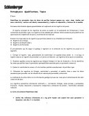 Topicos de petrofisica