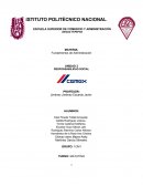 Fundamentos de Administración. Empresa Cemex