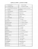 Como es el Tratajo de internacional