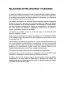 RELACIÓN ENTRE ÓRGANOS Y FUNCIONARIOS
