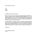 REFERENCIA: MEDIDA PROVISIONAL