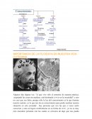 IMPORTANCIA DE LA FILOSOFIA EN NUESTRA VIDA COTIDIANA