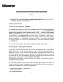 BASIC RESERVOIR AND PRODUCTION OVERVIEW