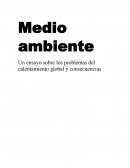 Medio ambiente Un ensayo sobre los problemas del calentamiento global y consecuencias