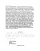 Contencion quimica