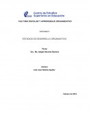 CULTURA ESCOLAR Y APRENDIZAJE ORGANIZATIVO