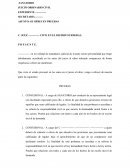 Que visto el estado procesal en los autos en el juicio al rubro, vengo a ofrecer de nuestra parte las siguientes: Ofrecimiento de pruebas