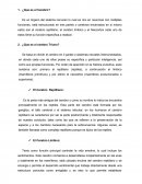 ¿Que es el cerebro?