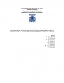 DETERMINAR LAS PROPIEDADES MECANICAS DE LA PROBETA A ENSAYAR