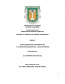 NUEVOS DERECHOS FUNDAMENTALES Y LA DES-NATURALIZACIÓN DEL JUICIO DE AMPARO