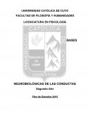 BASES NEUROBIOLÓGICAS DE LAS CONDUCTAS