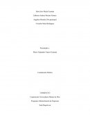 Programa Administración de Empresas. Constitución Política