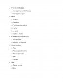 TIPOS DE HOMÍNIDOS.