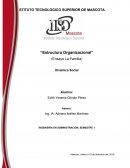 INGENIERÍA EN ADMINISTRACIÓN, SEMESTRE 1