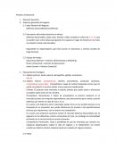 Proyecto Empresarial: Balerinas descartables a bajo costo