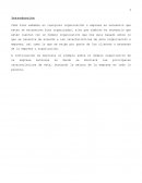 Modelo organizacional Autozone
