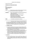 INFORME TECNICO FUNDAMENTADO