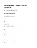 Algebra Lineal y Aplicaciones en Ingeniería