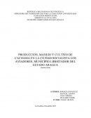 PRODUCCION, MANEJO Y CULTIVO DE CACHAMA EN LA CIUDAD SOCIALISTA LOS AVIADORES,