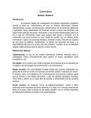 Cyberbullying MARCO TEORICO