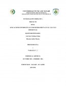 APLICACIONES INFORMÁTICAS COMO HERRAMIENTA EN EL CÁLCULO DIFERENCIAL