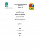 Marco teorico Consumo de llantas