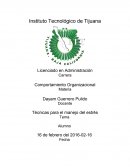 Técnicas para el manejo del estrés.