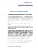 CASO PETER PETERSON, HEWLETT PACKARD