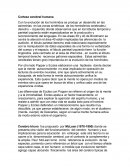 Corteza cerebral humana