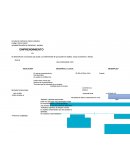 El desarrollo de un proyecto que ayuda a un determinado fin que puede ser político, social y económico