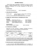 Informe Técnico para la Adquisición de AMONIACO