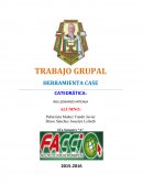 Herramientas de planificación de sistemas de gestión