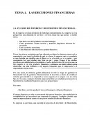 FLUJOS DE FONDOS Y DECISIONES FINANCIERAS