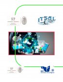 ENSAYO DEL TEMA ASIMILACIÓN DE LA TECNOLOGÍA EN EL AMBITO EMPRESARIAL