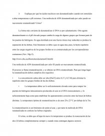 Explique por qué los ácidos nucleícos son desnaturalizados cuando son sometidos a altas temperaturas o pH extremos. Página 1