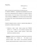 Ejemplo de Informe parcial judicial