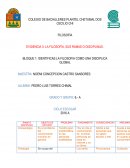 EVIDENCIA 3: LA FILOSOFÍA, SUS RAMAS O DISCIPLINAS