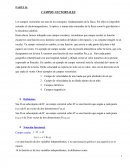 Campos Vectoriales son uno de los conceptos fundamentales de la física