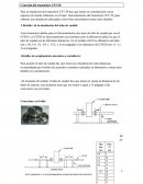INSTALACION CORIOLLI CFT50