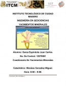 INGENIERÍA EN GEOCIENCIAS YACIMIENTOS MINERALES
