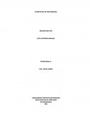 Entrevista de profundidad.INVESTIGACION DE MERCADOS