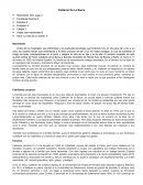 Vida de Calderón De La Barca