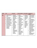 Resumen de teorias de desarrollo