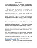 Medio Natural ensayo