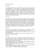 Resumen la meta casos