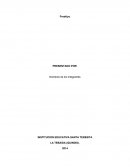 Objetivos de la investigación de mercado Freskiyu